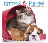 Willow Creek Press, Kittens and Puppies 2027 Wall Calendar