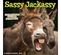 Willow Creek Press, Sassy Jackassy 2025 Wall Calendar