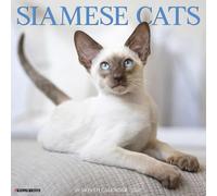 Willow Creek Press, Siamese Cats 2027 Wall Calendar