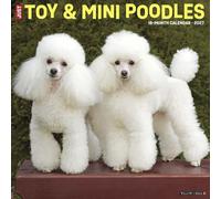 Willow Creek Press, Toy and Miniature Poodles 2027 Wall Calendar