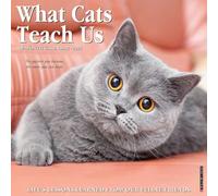 Willow Creek Press What Cats Teach Us 2026 Wall Calendar - 18-Month Cat Calendar with Photography, Life Lessons & Feline Wisdom (12" x 12")