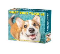 Willow Creek Press, What Dogs Teach Us 2027 5.4" x 6.2" Box Calendar