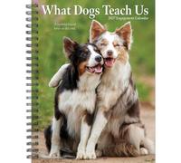 Willow Creek Press, What Dogs Teach Us 2027 6.5" x 8.5" Engagement Planner
