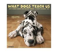 Willow Creek Press, What Dogs Teach Us 2027 Wall Calendar