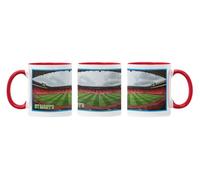 Willow Gifts Southampton FC St. Mary's Stadium 11oz Ceramic Gift Mug | Birthday or Christmas Gift 11oz Ceramic Tea Coffee Cup