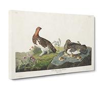 Willow Grouse By John James Audubon Canvas Print | Gallery Wrapped 30mm Frame Wall Art | 20x14 inches | Ready to Hang | Retro Picture | Living Room Bedroom Lounge Office