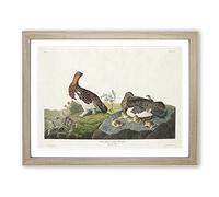 Willow Grouse By John James Audubon Vintage Framed Print | A4 Oak Framed Wall Art | Ready to Hang | Classic Nature Picture | Living Room Bedroom Lounge Office