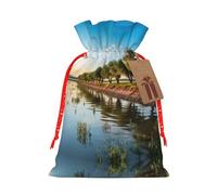 Willow Tree Print Drawstring Pouch For Gifts,Reusable Adorable Gift Bags,Perfect For Jewelry And More