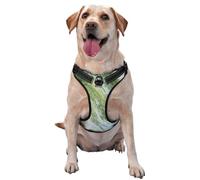 Willow Wadding Medium Printed pet Traction Vest for Pets to wear When Walking The Dog or Climbing Mountains