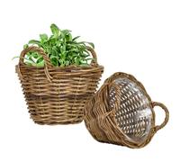 Willow Wicker Planter Set of 2 Watertight Lined Indoor Rattan Planters with Carrying Handles Rustic Style Living Room Hallway Bedroom Kitchen Bathroom Plant Basket (Round, S)