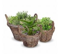 Willow Wicker Planter Set of 3 Assorted Watertight Lined Indoor Rattan Planters with Carrying Handles Spring Summer Fathers Day Gardening Gift