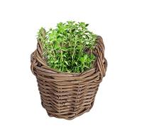 Willow Wicker Planter Watertight Lined Flower Basket with Handles (XXS)