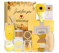 WilloWish Sending Sunshine gift box for women - 15 PCs Sunshine Gift Baskets for Women - Get Well Soon Gift Baskets for Women - A Box of Sunshine Gifts for Women, Thinking of You Gift Basket for Women
