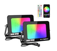 Willpower 30W Smart RGB LED Floodlight Outdoor Garden Remote APP Control | 2X 3,000LM LED Flood Lights, Color Changing, DIY Scenes, Timing, IP66 Waterproof, Uplight for Party Stage Patio, UK Plug