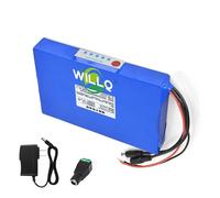 WILLQ 12V Polymer Lithium Battery Pack High Capacity 5Ah 8Ah 10Ah 20Ah 30Ah 40Ah 50Ah 60Ah for Solar Street Lights and Outdoor Backup Power Battery,12V 20000mAh