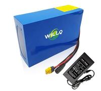 WILLQ 24V 25Ah Ebike Battery Pack 7S Lithium Ion Battery for Electric Bicycle Scooter Motor 600Wh with 29.4V 2A Charger and BMS Protection Board