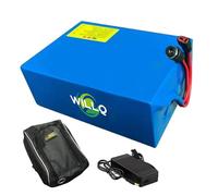 WILLQ 24V 36V 48V Lithium Battery 10AH 12AH 15AH 18AH 20AH 25AH 30AH Electric Scooter Battery with DC + T Plug Replacement for Bicycle Motor with Bag,48V20AH