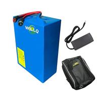WILLQ 24V 36V 48V Replacement Lithium Battery 10AH 12AH 15AH 18AH 20AH 25AH 30AH Electric Scooter Battery with T Plug for 0-1500W Motor Kit with Bag,48V18AH