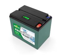 WILLQ 25.6V LiFePO4 Lithium Battery 24V 12Ah 18Ah 25Ah 30Ah 48Ah 60Ah 2000+ Deep Cycles Lithium Battery Rechargeable for Camping Light/Fish Finder/Sightseeing Car,24V30Ah