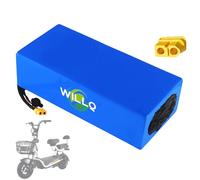 WILLQ 48 Volts 20Ah 30Ah 40Ah 50Ah E-Bike Battery 13S 48V Lithium Battery Pack with XT60 Plug for Mountain Bicycle 250W 750W 1500W 2500W Motors,48V50Ah