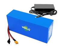 WILLQ 48 Volts E-Bike Battery Removable PVC Lithium Battery Pack with BMS