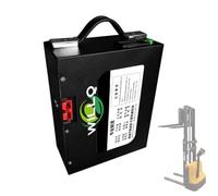 WILLQ 48V 10Ah 15Ah 30Ah Lithium Battery 24V 25Ah Electric Pallet Jack Truck Battery Built-in BMS for Forklift Replacement Parts,B,48V10AH