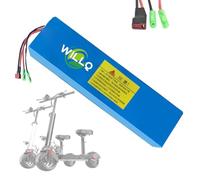 WILLQ 48V 36V 8Ah 10Ah 12Ah 15Ah Lithium Ion Battery Inside Built in Electric Bike Battery with BMS for 100W-600W Folding Scooter Motor with Bullet + T Plug,48V10Ah 1