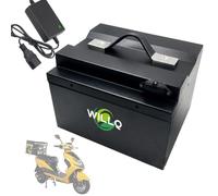 WILLQ 48V 60V Ebike Battery 15Ah 20Ah Lithium Battery Pack Replacement for Bicycle Motorcycle Tricycle Motor Kit with Charger and BMS Board,60V20Ah