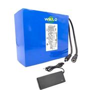 WILLQ DC 12 Volts Lithium Polymer Battery Pack 19Ah 21Ah 23Ah 32Ah 35Ah 42Ah 45Ah Portable Rechargeable Battery for 12V Equipment,12V42000mAh