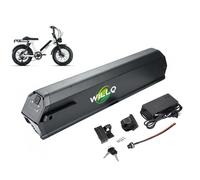 WILLQ Downtube Electric Bike Batteries 48V 13Ah 17.5Ah Inside Lithium Ion Battery Pack with Charger and 2 Pins Connector for 0-840W Mountain Bicycle Motor Kit,L390mm,48V13Ah