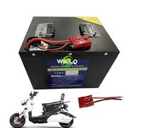 WILLQ Ebike Battery Pack 60V 25Ah 30Ah 40Ah 50Ah LiFePO4 Lithium Battery for Electric Scooters/Motorcycles/Tricycle 0-3000W Motor with BMS Protection and Anderson Plug,60V50Ah
