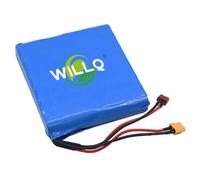 WILLQ Electric Unicycle Battery 60V 2.2Ah Rechargeable Lithium Battery Pack 60V 2200mAh Replacement Hoverboard Parts