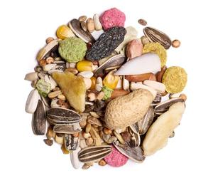 Willsbridge Deluxe Fruity Parrot Food Mix 12.5kg - Premium Parrot Seed Mix - 24 Quality Ingredients - Rich In Vitamins, Fruits and Nuts - Full of Taste, Variety and Nutrition