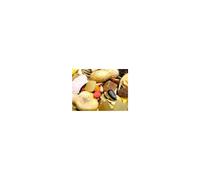 Willsbridge Fruity Parrot Mix 12.5kg