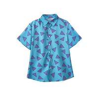 Willyacos Rocko's Modern Life Shirt Blue Triangle Rocko T Shirt Costume 90's Modern Life Button Down Hawaiian Shirt for Men, Blue, XXL