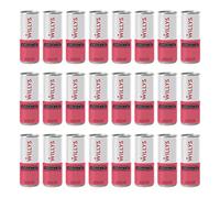 Willys ACV - Willy's Sparkling Raspberry, Kombucha & ACV Drink (Apple Cider Vinegar) 250ml Can - Pack of 24