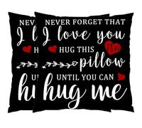 WILPROO Set of 2 Girlfriend Reminder Gift Hug This Pillow Until You Can Hug Me Couples Love Pillow Cover Soft Velvet Two Sides Print Girls Linen Square Decorative Cushion Pillowcase 18"x 18" Black