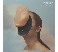 Wilsen - I Go Missing In My Sleep [VINYL]