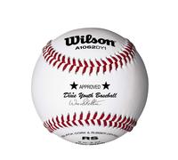 Wilson A1062 League Series Dixie Youth Baseballs 1 Dozen
