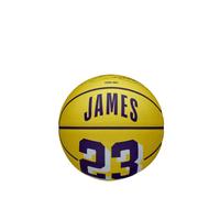 Wilson Basketball, NBA Player Icon Mini