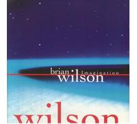 Brian Wilson - Imagination (RSD26 EX) [VINYL]
