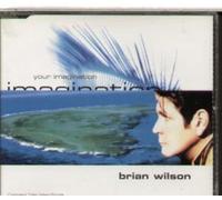 Wilson Brian - Your Imagination