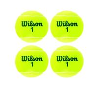 Wilson Championship Tennis Balls