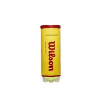 Wilson Championship Extra Duty Tennis Balls