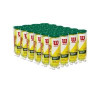 WILSON championship Tennis Balls - Regular Duty 24 can case (72 Balls