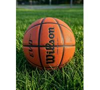 Wilson EVO NXT Game Basketball Size 7 Composite Cover | Indoor Use, Pro Performance, Official Size, Composite Cover, EVO NXT Model