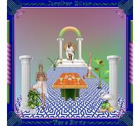 Jonathan Wilson - Rare Birds [VINYL]