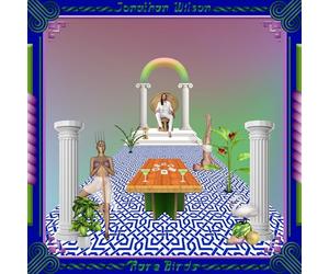 Wilson,Jonathan - Rare Birds [VINYL]