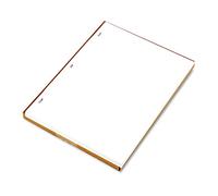 Wilson Jones 90310 Ledger Sheets for Corporation and Minute Book, White, 11 x 8-1/2, 100 Sheets