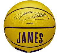Wilson NBA Player Icon LeBron James Mini Ball Basketball WZ4027701XB